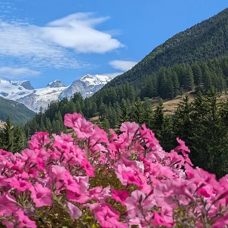 Lejlighedshotel Maison Poluc - Maison Monte Rosa 4*