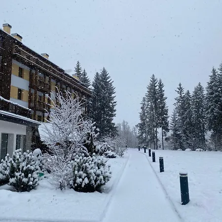 Appart hôtel Maison Poluc - Maison Monte Rosa Champoluc